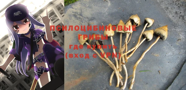 метамфетамин Гусев
